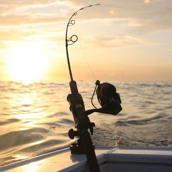 Railblaza Rod Holder Hexx With Base 11-4189-11 - Image 10